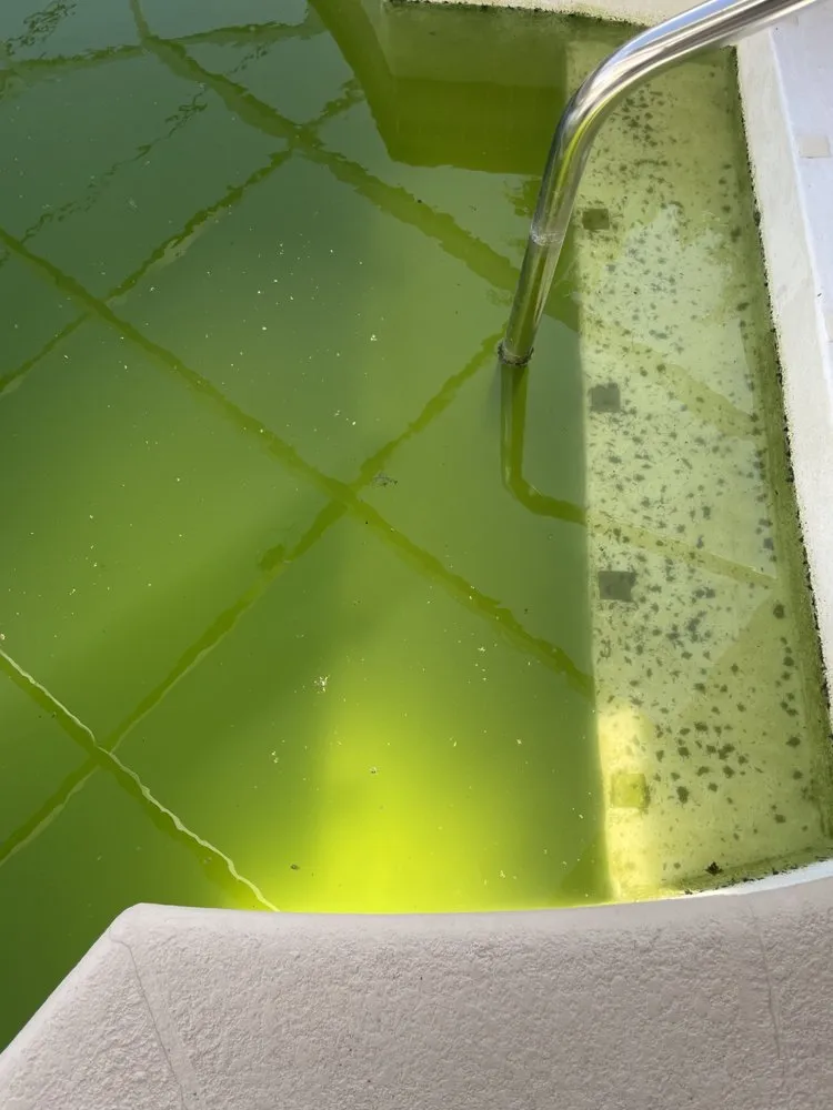 Local lawn care service in Clearwater, FL - B&B Lawn & Pool