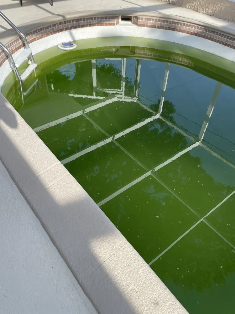 Trusted yard maintenance for year-round maintenance in Clearwater, FL by B&B Lawn & Pool