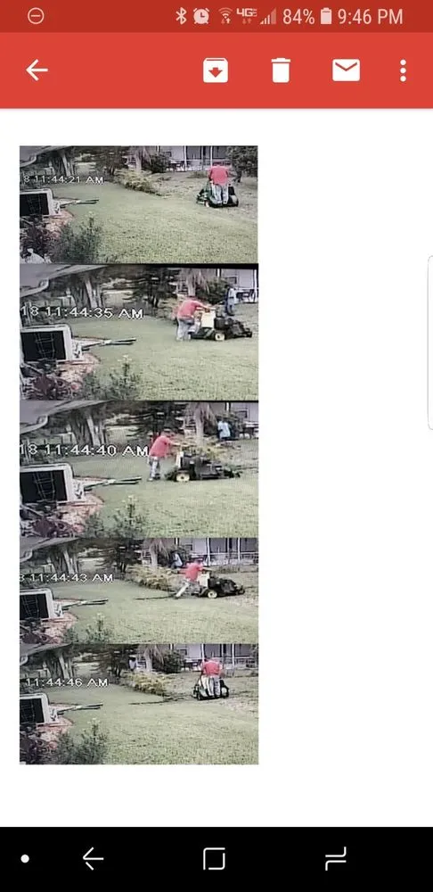 Local yard cleanup service in Clearwater, FL by B&B Lawn & Pool