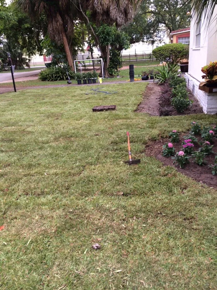 Expert yard cleanup service for homes in Miami, FL by B&B Lawn & Tree Service