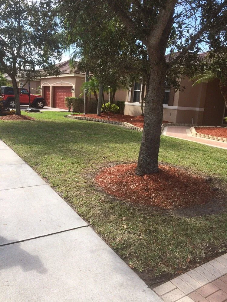 Expert outdoor landscaping in Miami, FL by B&B Lawn & Tree Service