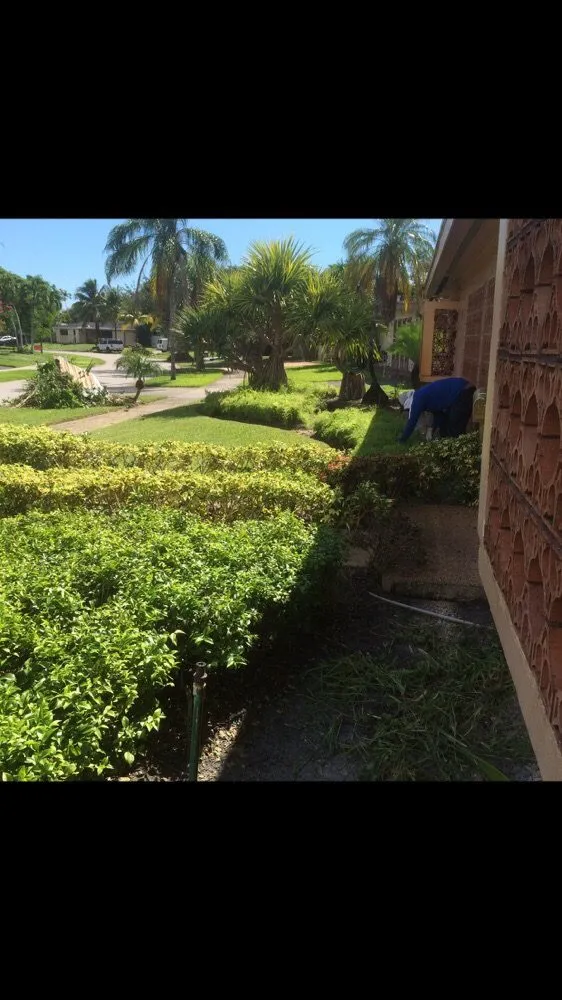 Reliable landscaping services in Miami, FL - B&B Lawn & Tree Service