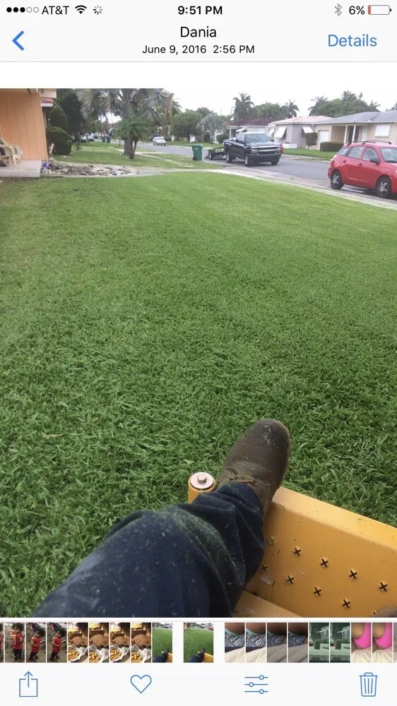 Local landscape design in Miami, FL - B&B Lawn & Tree Service