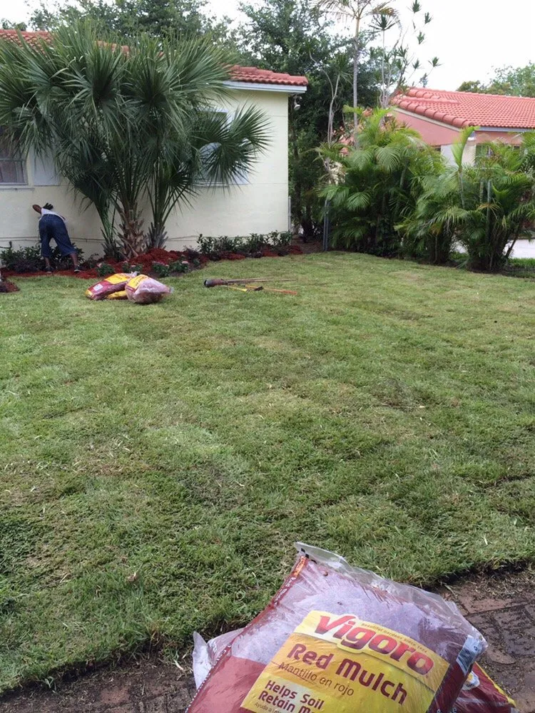 Custom lawn mowing service experts serving Miami, FL - B&B Lawn & Tree Service