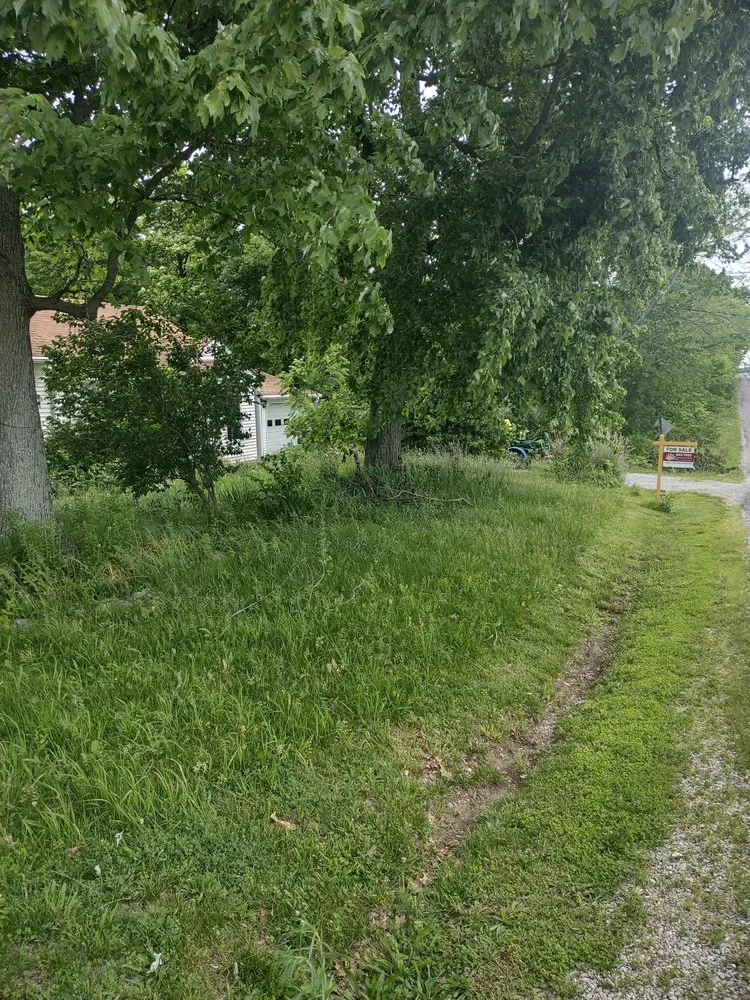 Local yard maintenance for outdoor upgrades in Fairfield, IL by B&B Lawn Care & Auto Detail