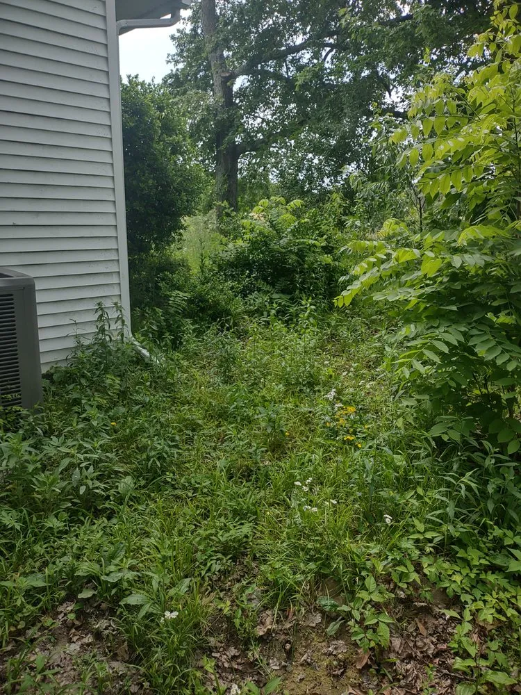 Professional residential landscaping for outdoor upgrades across Fairfield, IL - B&B Lawn Care & Auto Detail