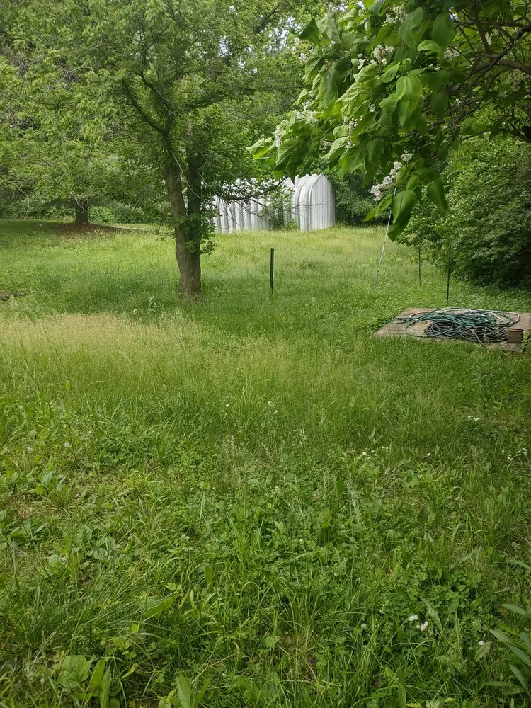 Top-rated landscape installation for outdoor upgrades in Fairfield, IL by B&B Lawn Care & Auto Detail