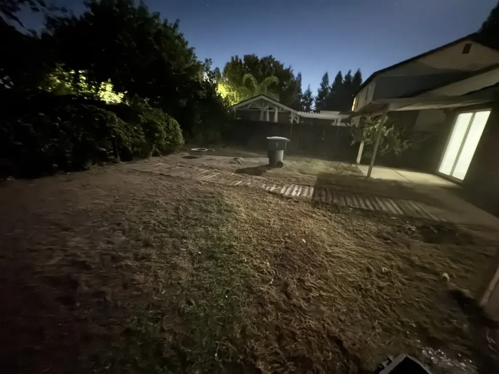 Custom yard cleanup service in Visalia, CA by B&B Lawn Care & Hauling