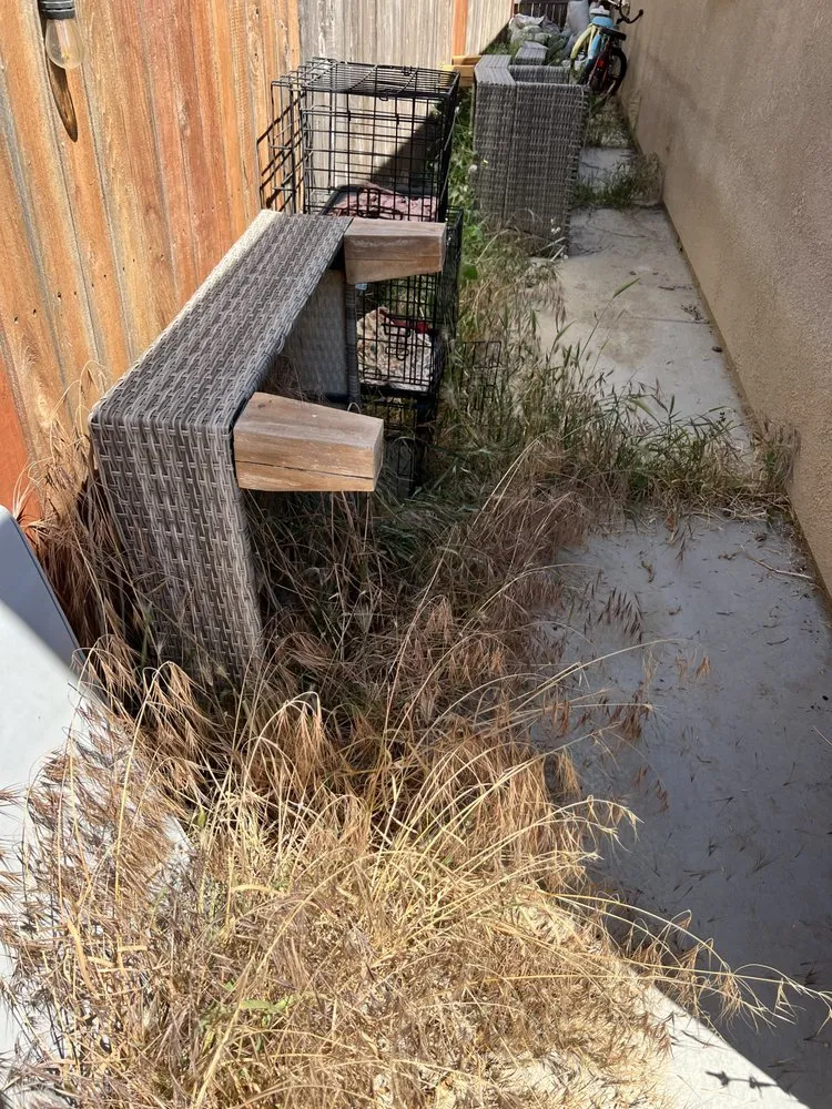 Affordable yard maintenance in Visalia, CA - B&B Lawn Care & Hauling