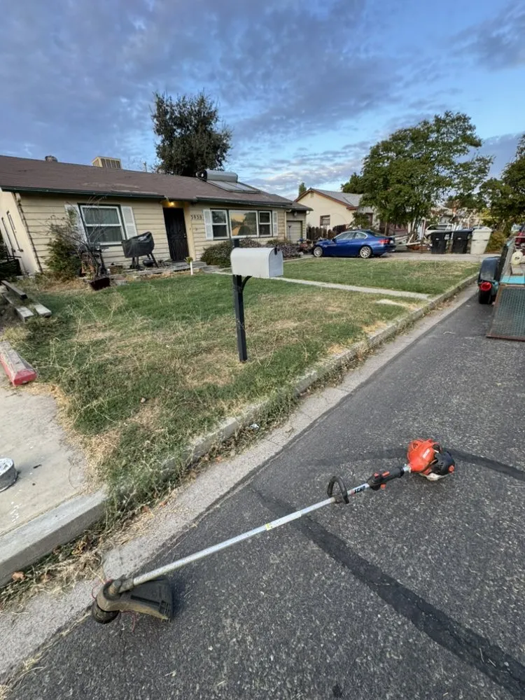 Affordable lawn care service in Visalia, CA by B&B Lawn Care & Hauling