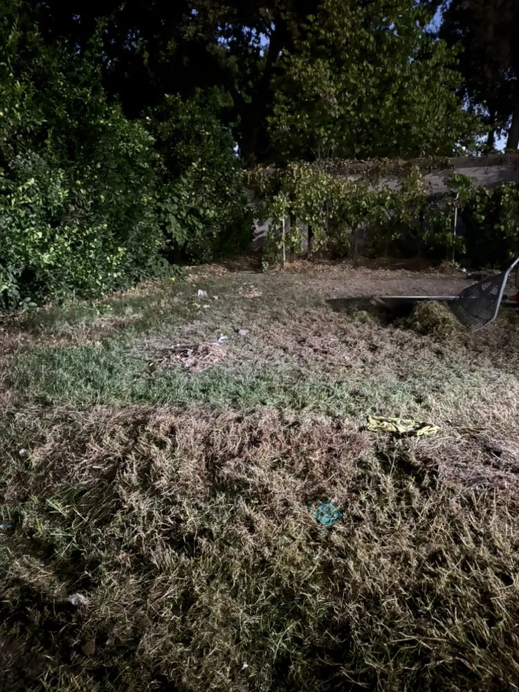 Expert yard cleanup service in Visalia, CA - B&B Lawn Care & Hauling