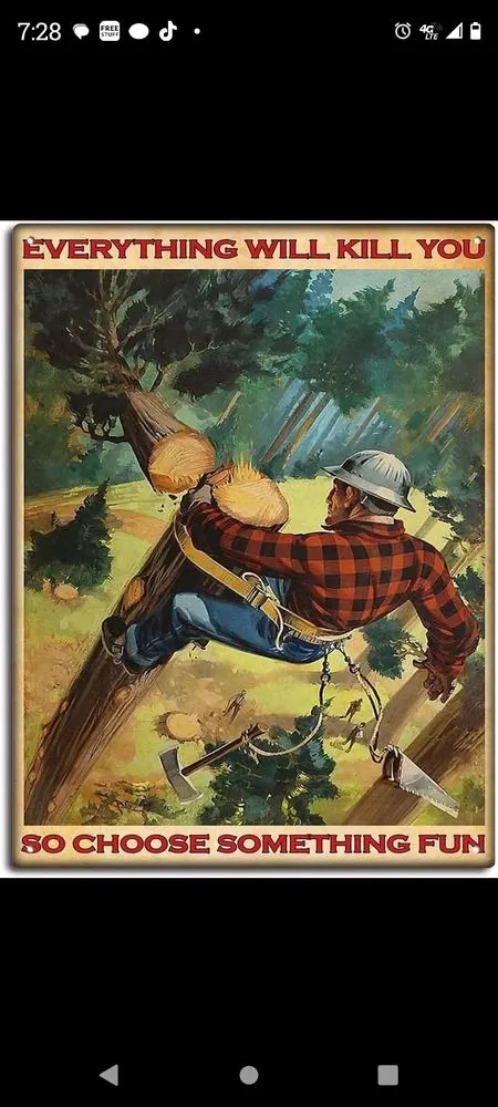 Affordable lawn care service for beautiful yards across Lake Charles, LA - B&B Lawn Care and Handyman Services