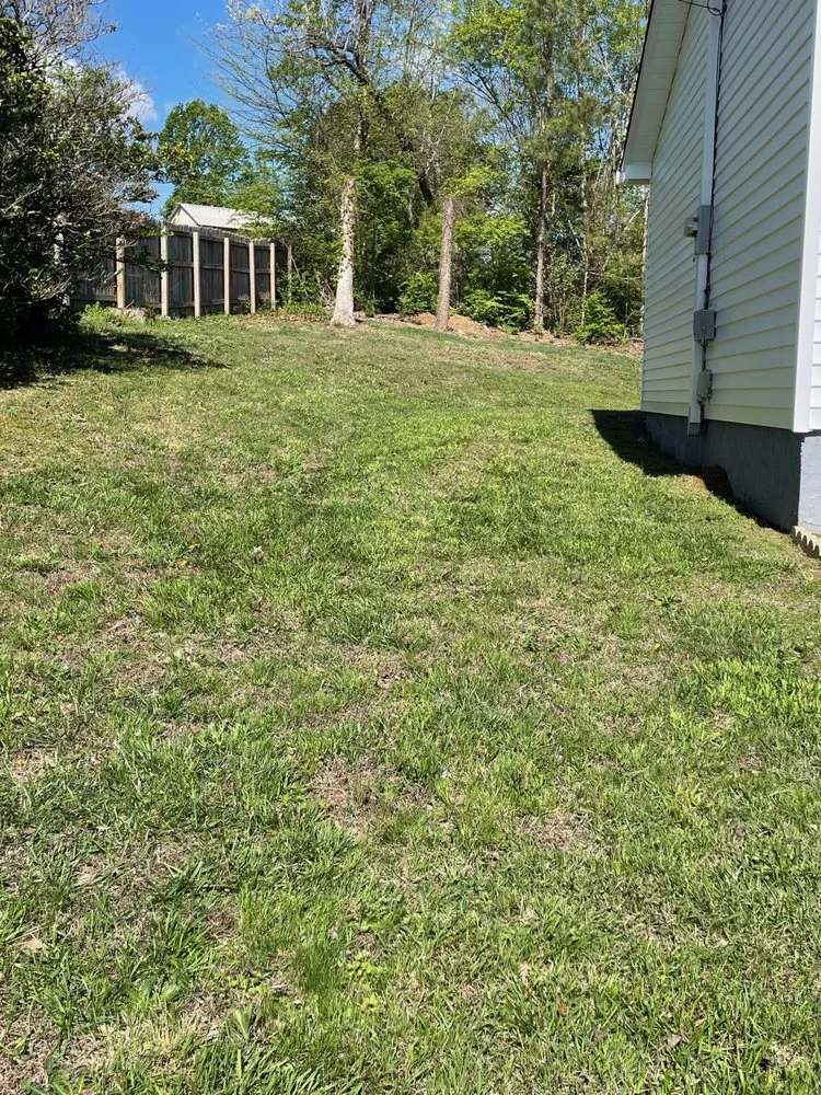 Local yard cleanup service experts serving Benton, TN - B&B Lawn Care