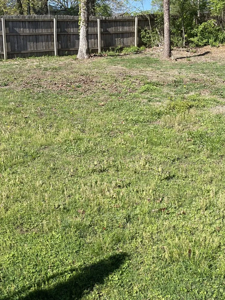 Affordable lawn mowing service for outdoor upgrades in Benton, TN by B&B Lawn Care