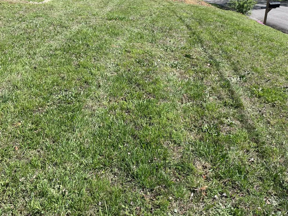 Local outdoor landscaping in Benton, TN by B&B Lawn Care