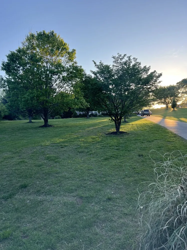 Top-rated landscape design in Benton, TN - B&B Lawn Care