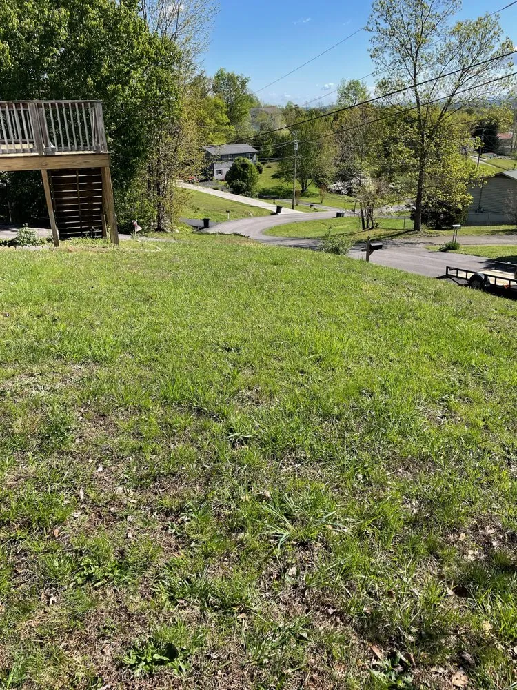 Local landscaping services for residential properties in Benton, TN by B&B Lawn Care