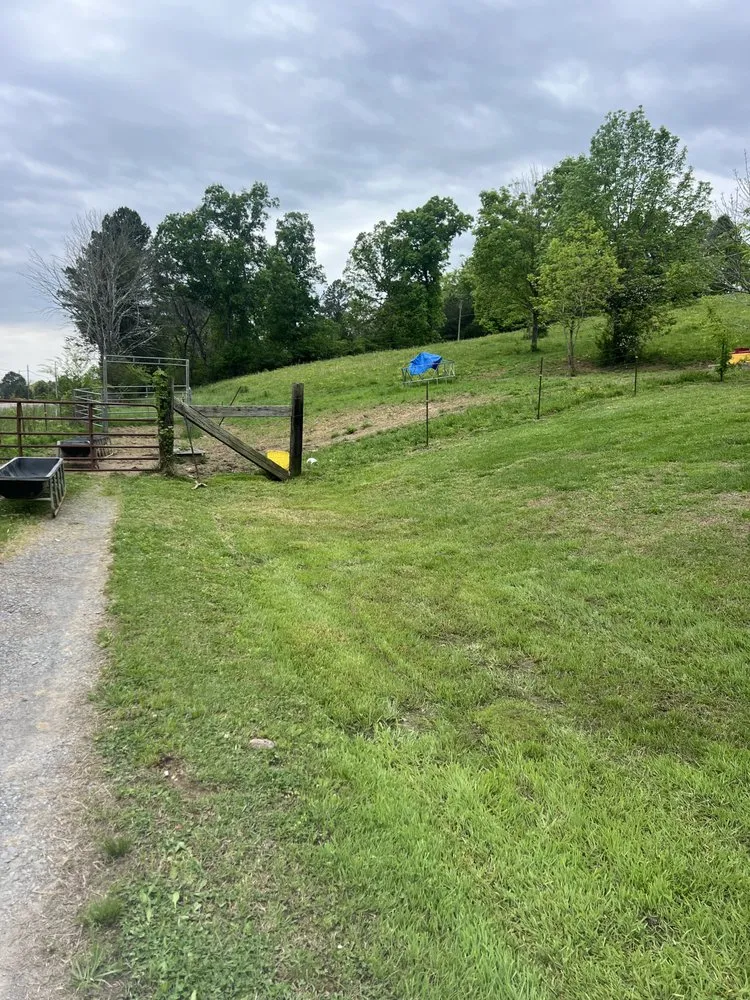 Affordable garden landscaping for homes across Benton, TN - B&B Lawn Care