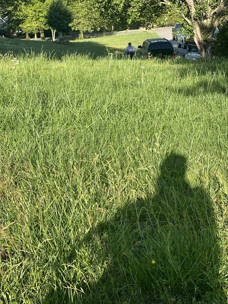 Expert lawn care service in Benton, TN - B&B Lawn Care