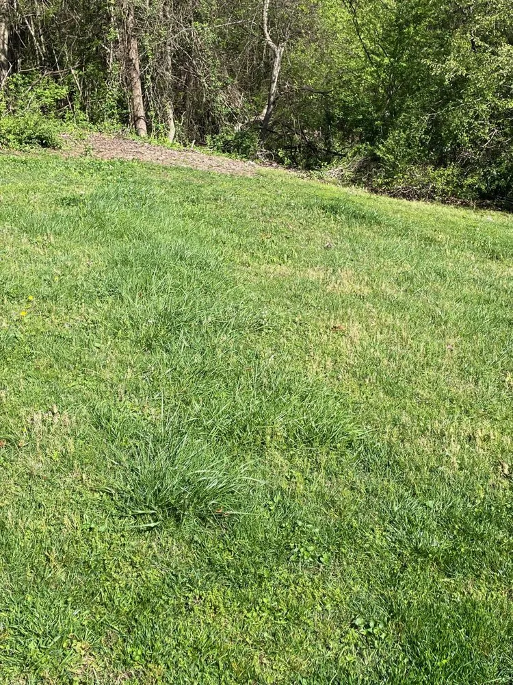 Local outdoor landscaping in Benton, TN - B&B Lawn Care