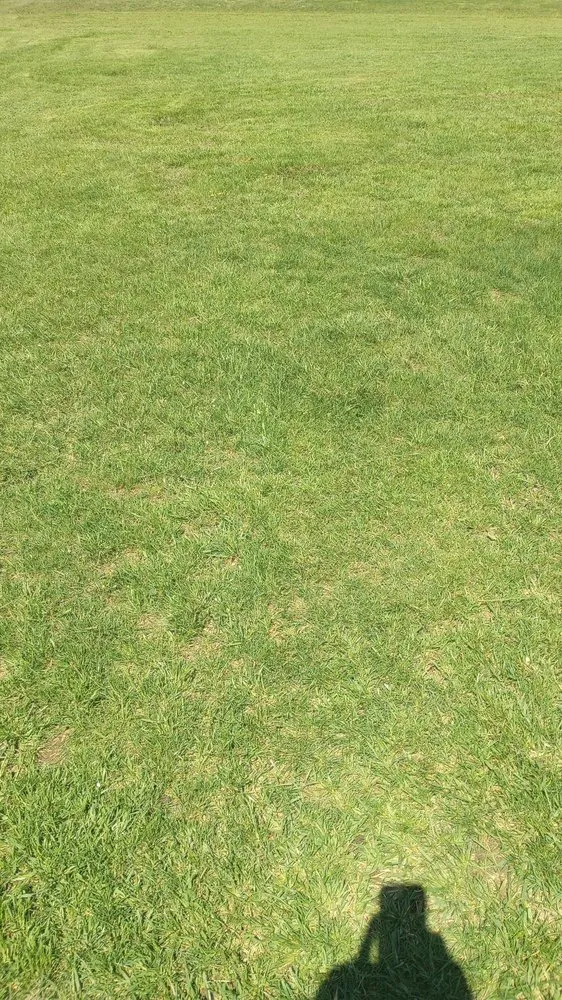 Expert yard maintenance for homes in Berlin, MD by BB Lawn Care