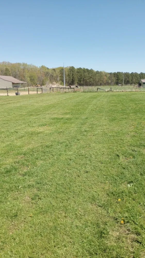 Top-rated yard cleanup service with custom design in Berlin, MD by BB Lawn Care