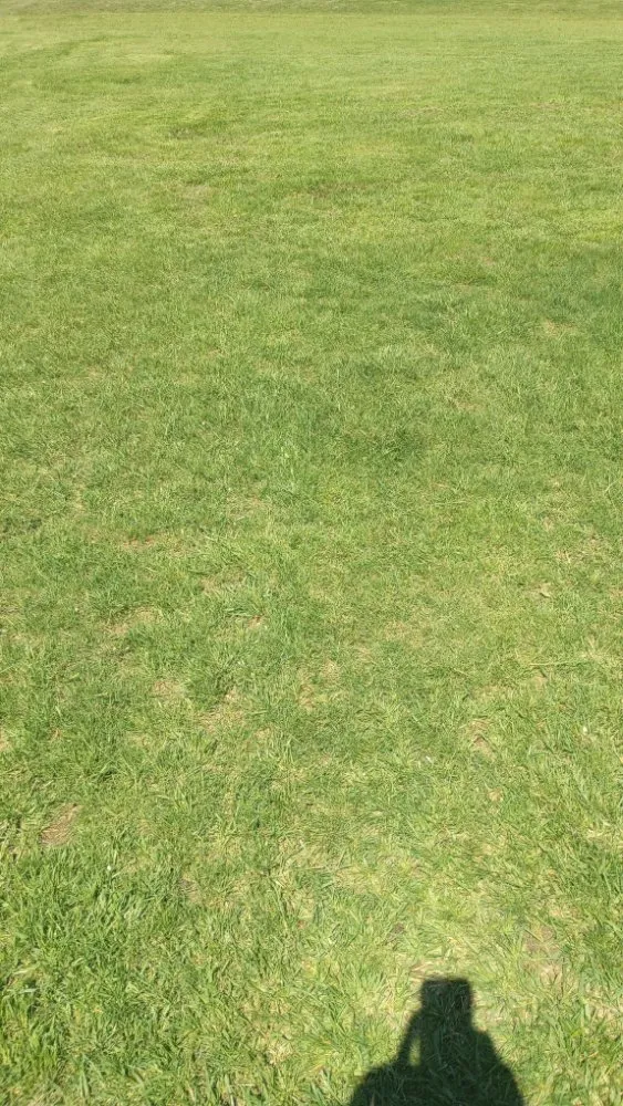 Expert lawn care service with custom design across Berlin, MD - BB Lawn Care