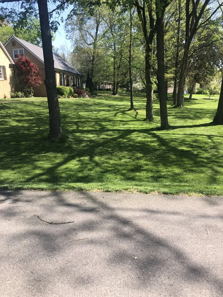 Professional landscape design for year-round maintenance across Cerulean, KY - B&B Lawn Care