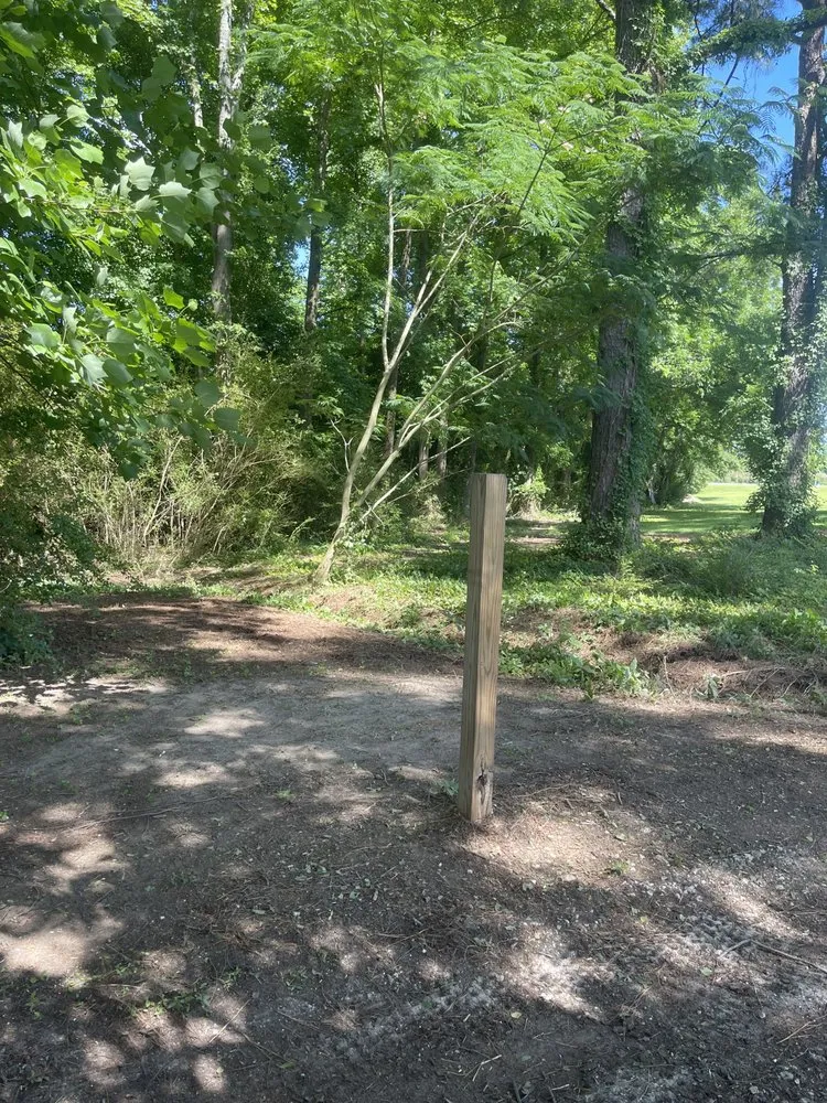 Local lawn care service for outdoor upgrades across Dunn, NC - B&B Lawn Care