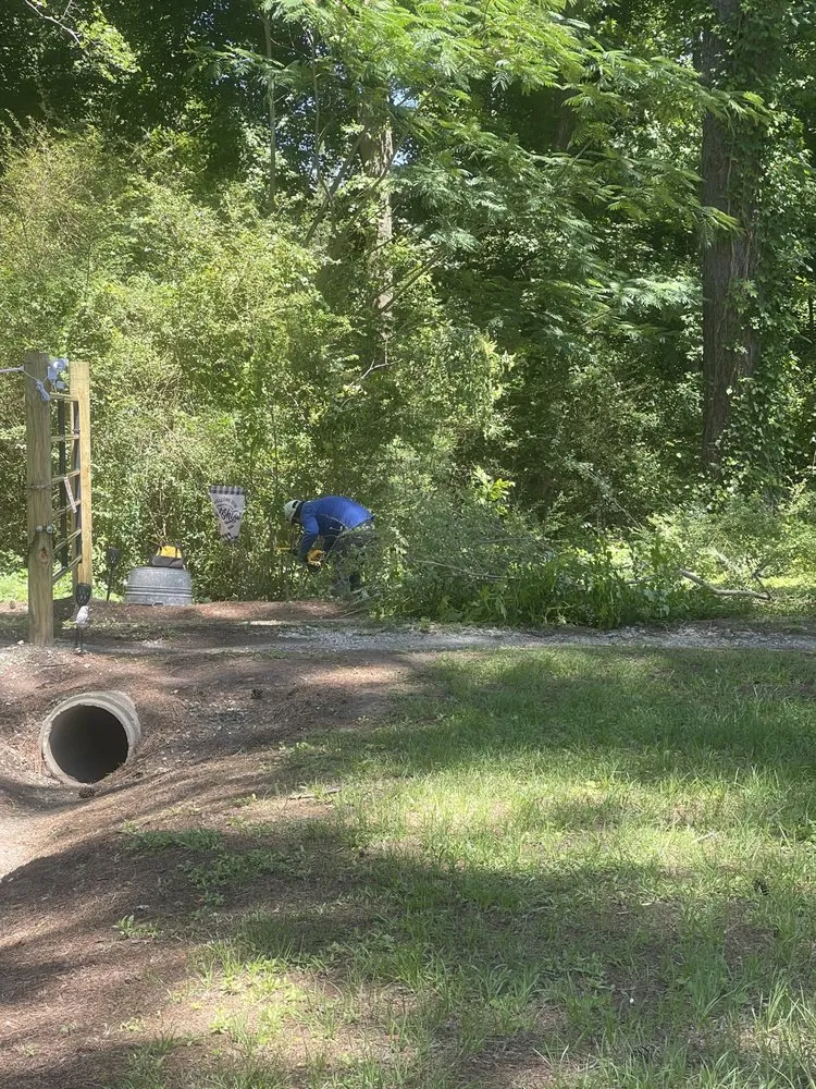 Professional garden landscaping in Dunn, NC - B&B Lawn Care