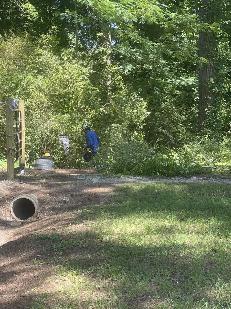 Expert landscape installation experts serving Dunn, NC - B&B Lawn Care