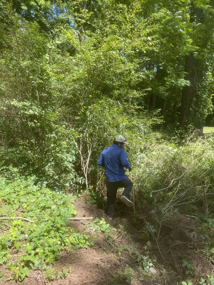 Professional landscape design in Dunn, NC - B&B Lawn Care