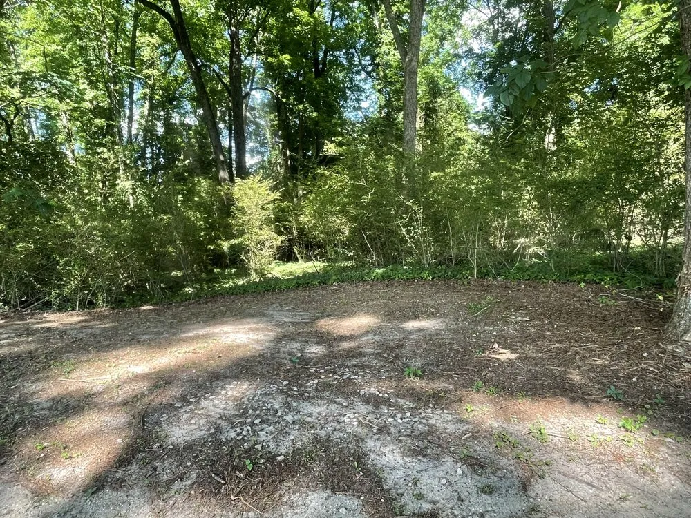 Custom landscape design for year-round maintenance across Dunn, NC - B&B Lawn Care