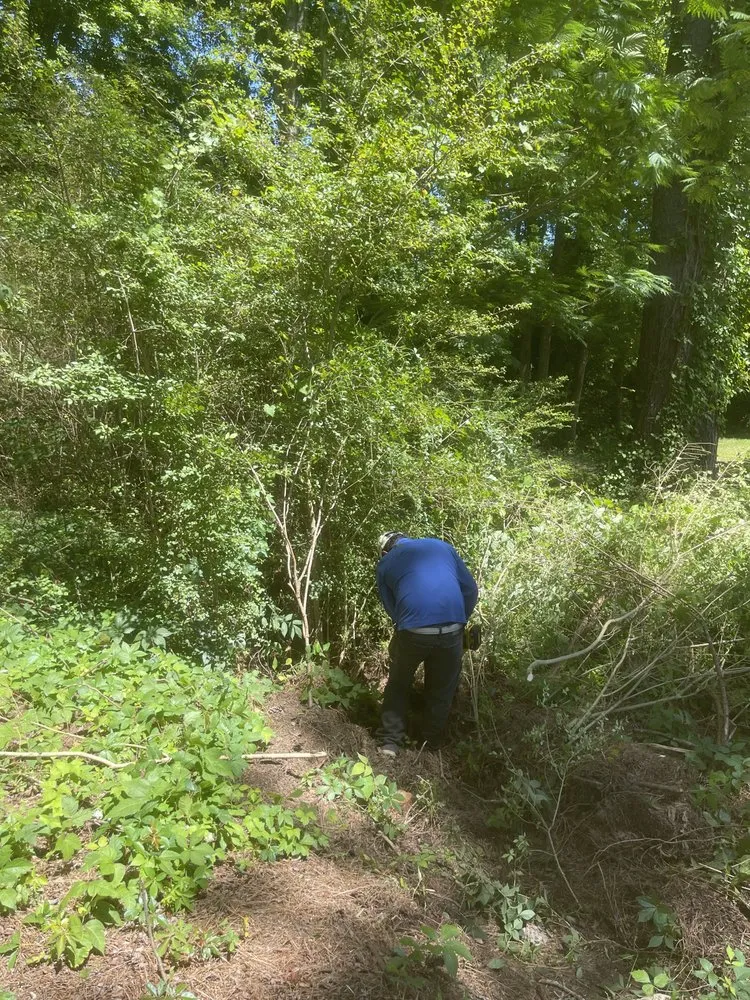 Custom lawn care service in Dunn, NC - B&B Lawn Care