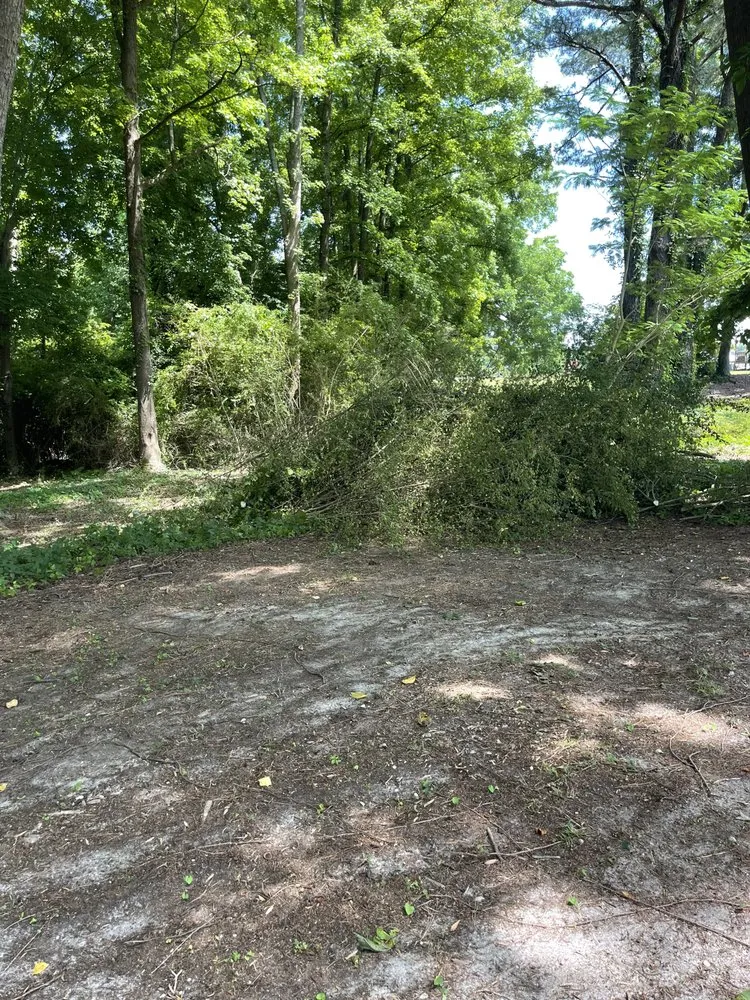 Professional landscape installation in Dunn, NC - B&B Lawn Care