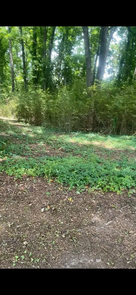 Expert outdoor landscaping in Dunn, NC by B&B Lawn Care