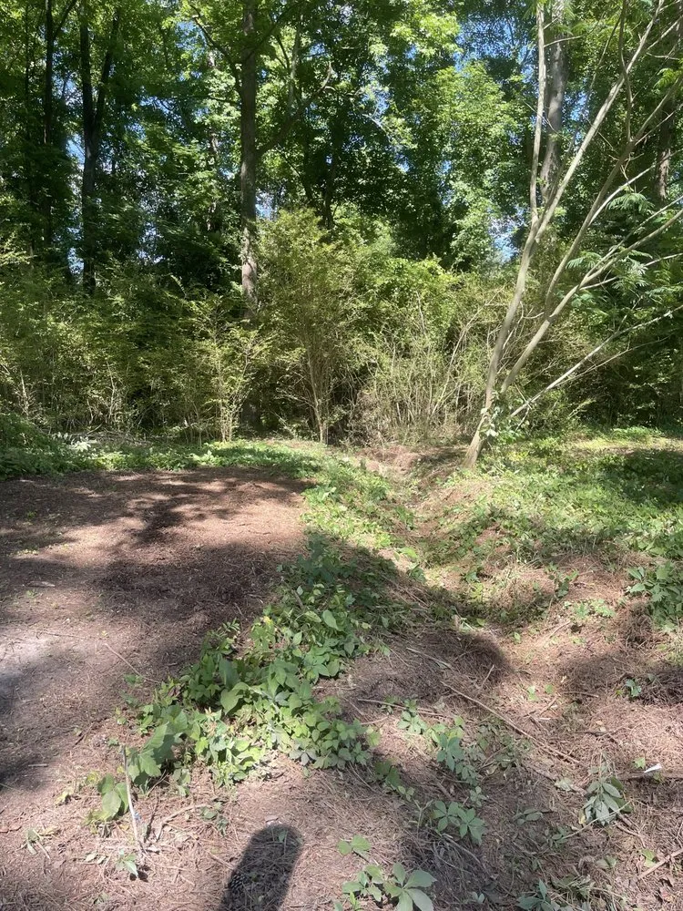 Affordable outdoor landscaping in Dunn, NC - B&B Lawn Care