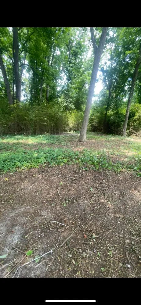 Local yard cleanup service experts serving Dunn, NC - B&B Lawn Care