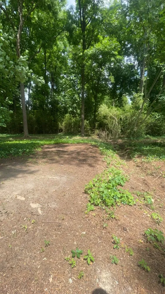 Local garden landscaping for year-round maintenance across Dunn, NC - B&B Lawn Care