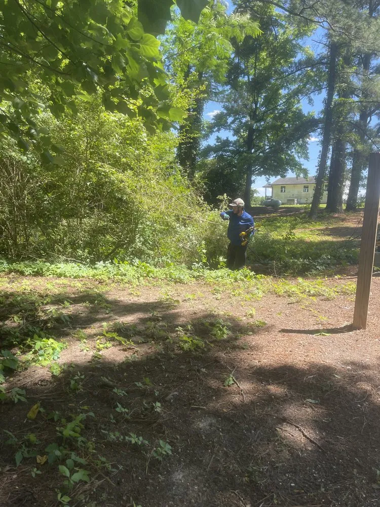 Expert landscape design in Dunn, NC - B&B Lawn Care