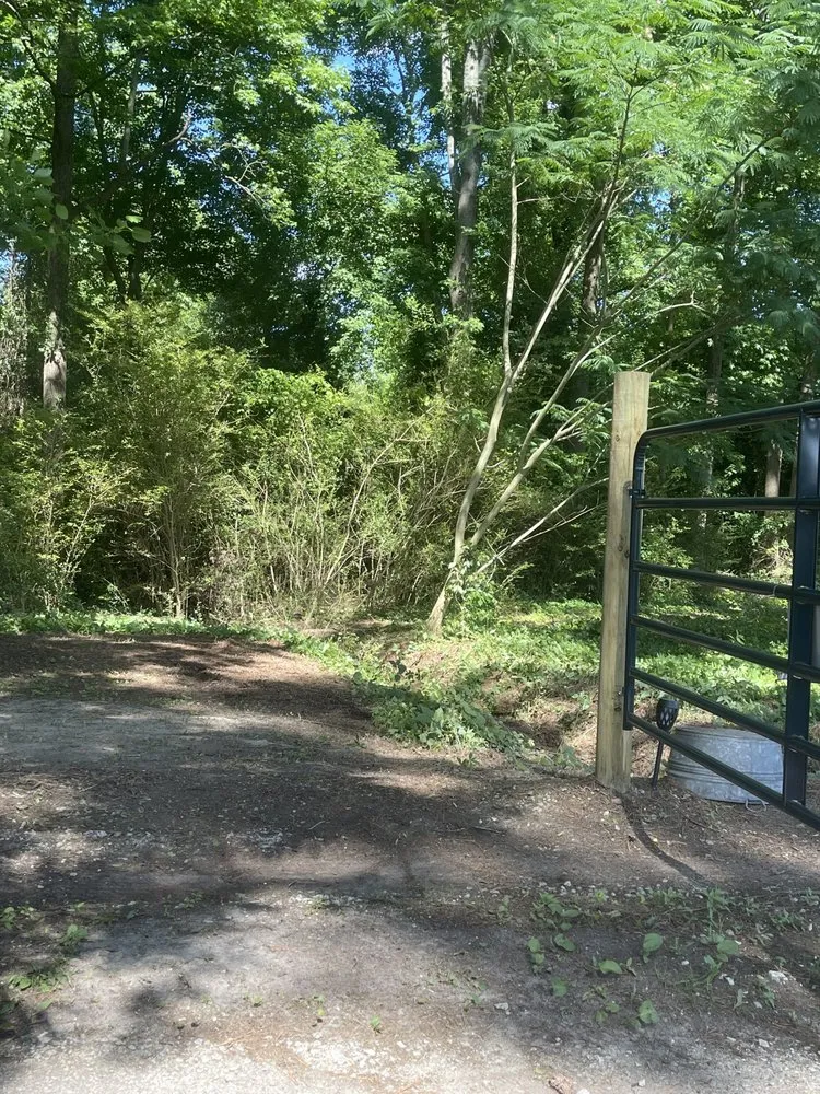 Expert lawn care service for beautiful yards across Dunn, NC - B&B Lawn Care