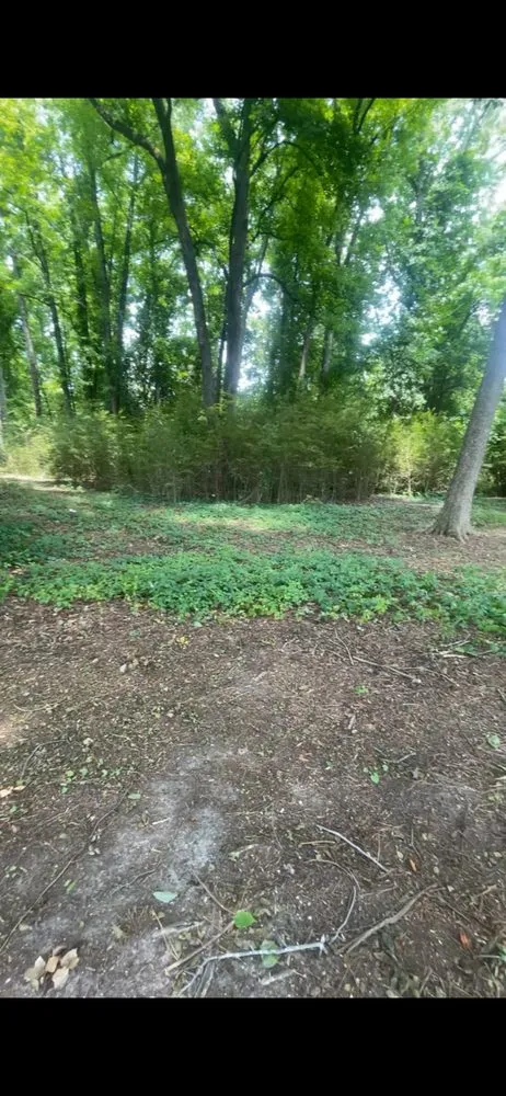 Affordable lawn care service in Dunn, NC - B&B Lawn Care