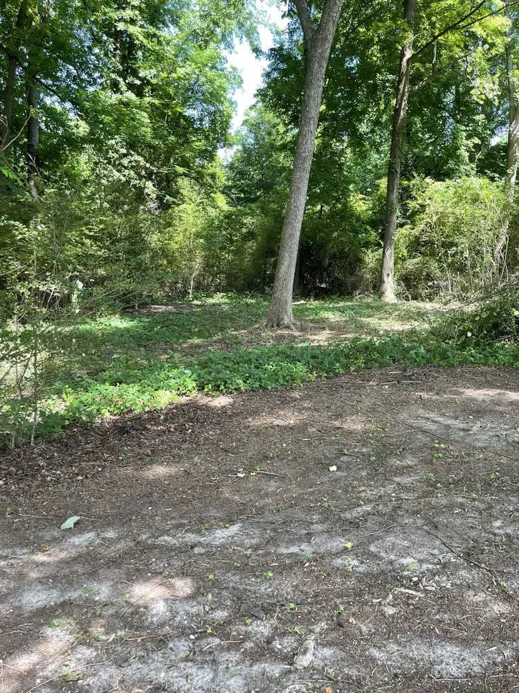 Trusted yard maintenance in Dunn, NC - B&B Lawn Care