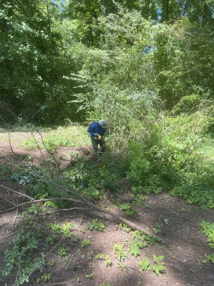 Expert residential landscaping in Dunn, NC by B&B Lawn Care