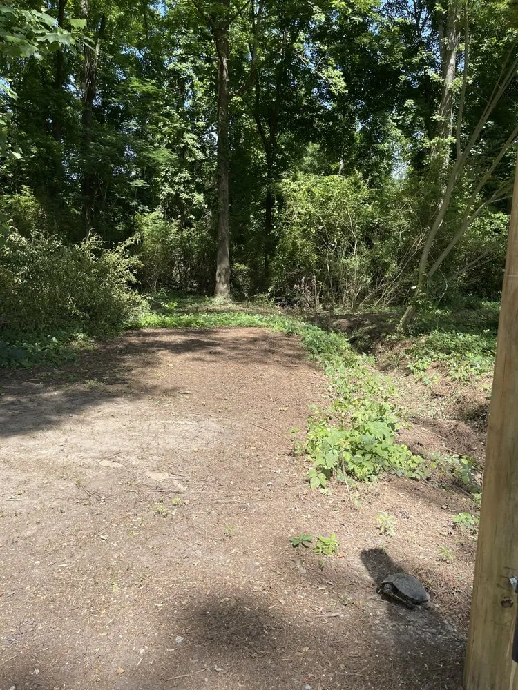 Affordable residential landscaping for homes across Dunn, NC - B&B Lawn Care