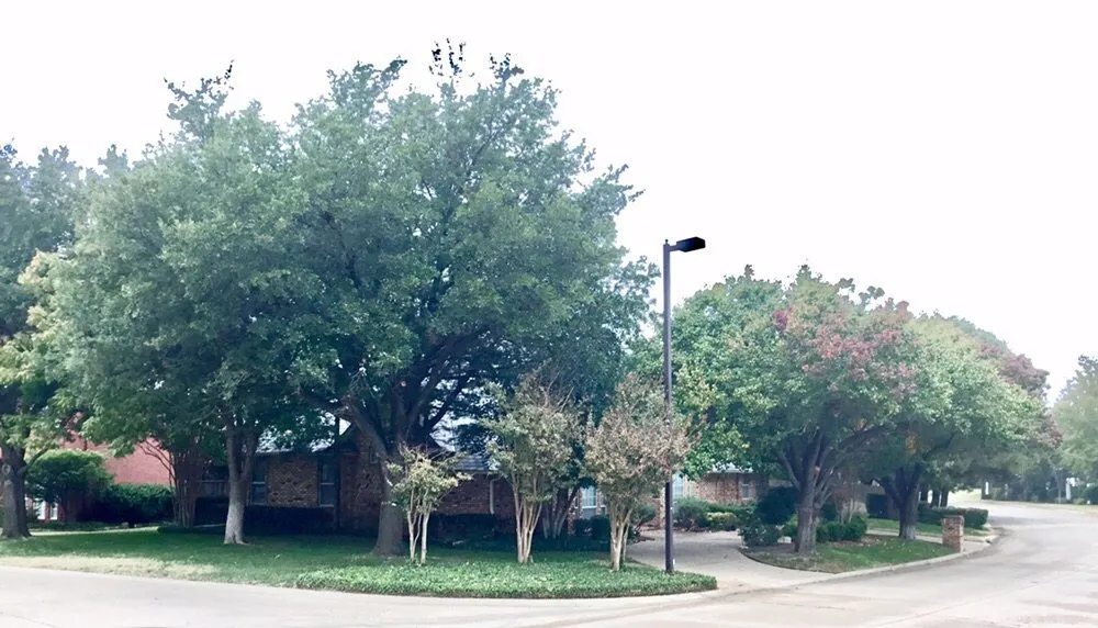 Trusted residential landscaping in Fort Worth, TX - B&B Lawn Care