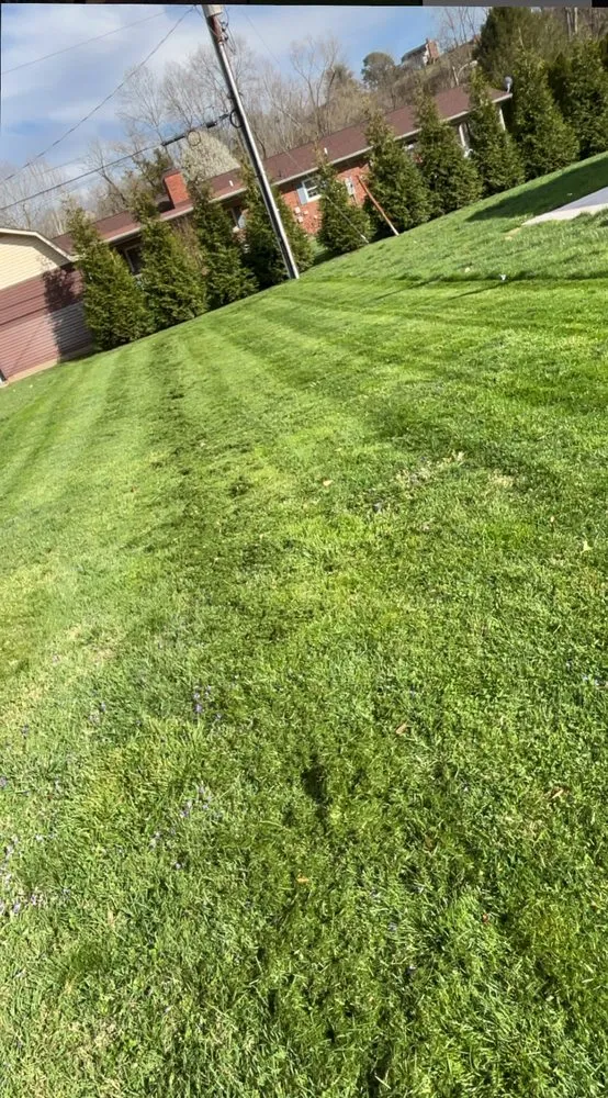 Top-rated landscape design for residential properties across Grayson, KY - B&B Lawn Care