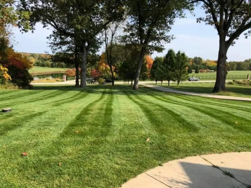 Affordable yard cleanup service in Malden, MO - B&B Lawn Care