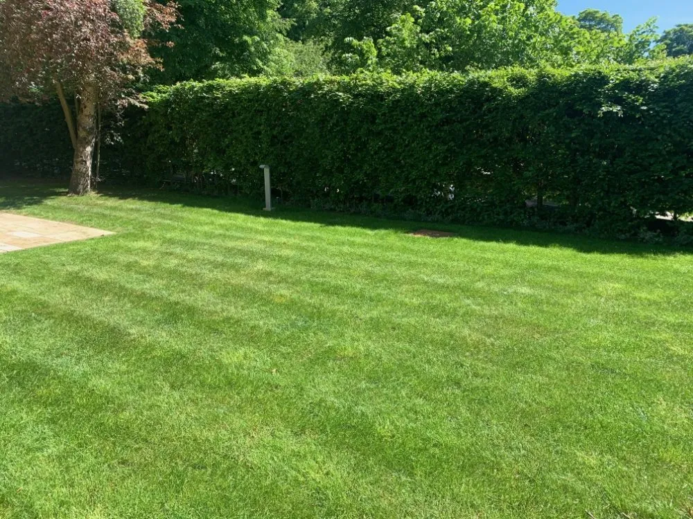 Trusted residential landscaping near you across Paragould, AR - B&B Lawn Care