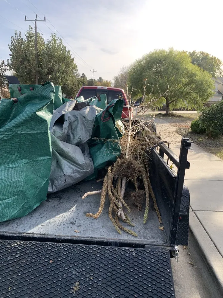 Trusted yard maintenance experts serving Star, ID - B&B Lawn Care